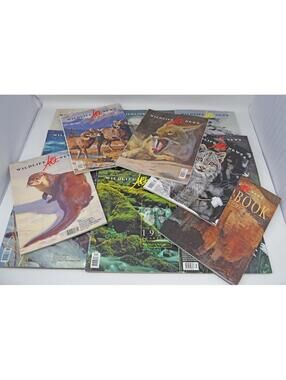 Wildlife Art News Magazines 1989 Full Set plus Yearbook with Partial 1993 1994